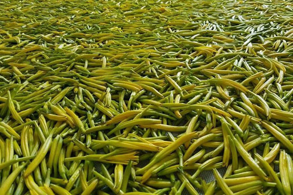 無硫金針菜烘干如何保持品相？不發(fā)黑？