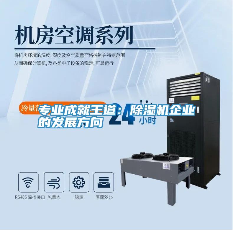 專(zhuān)業(yè)成就王道：除濕機(jī)企業(yè)的發(fā)展方向