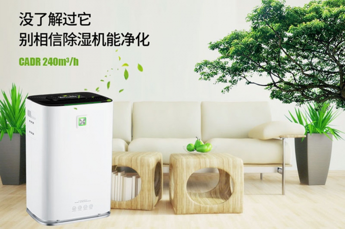 一到回南天狗狗就感冒+皮膚病，怎么辦？