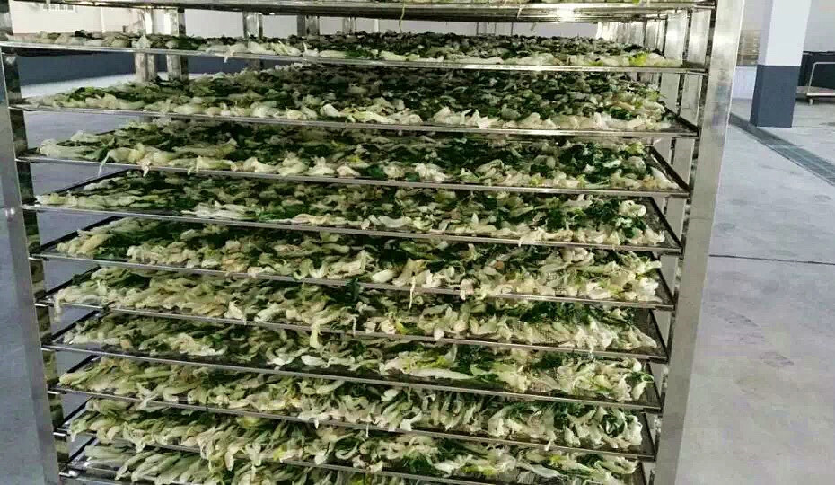菜干需求一直都很大，蔬菜烘干機(jī)很有市場(chǎng)