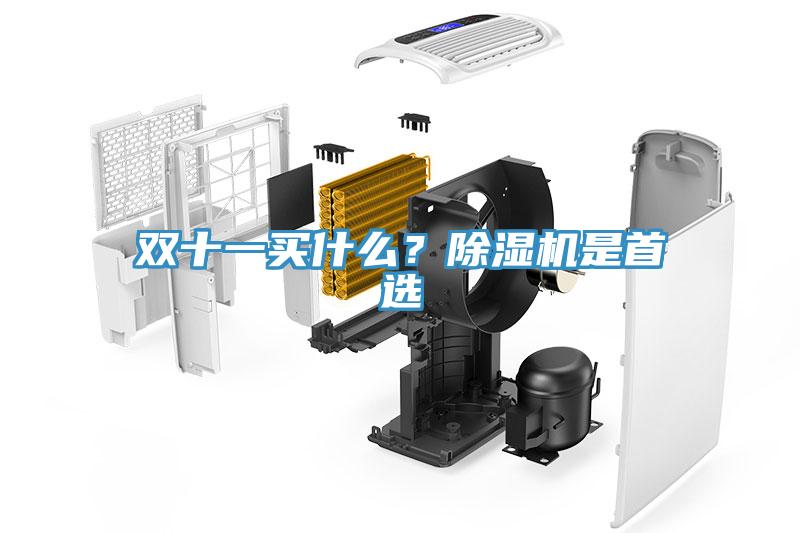 雙十一買(mǎi)什么？除濕機(jī)是首選