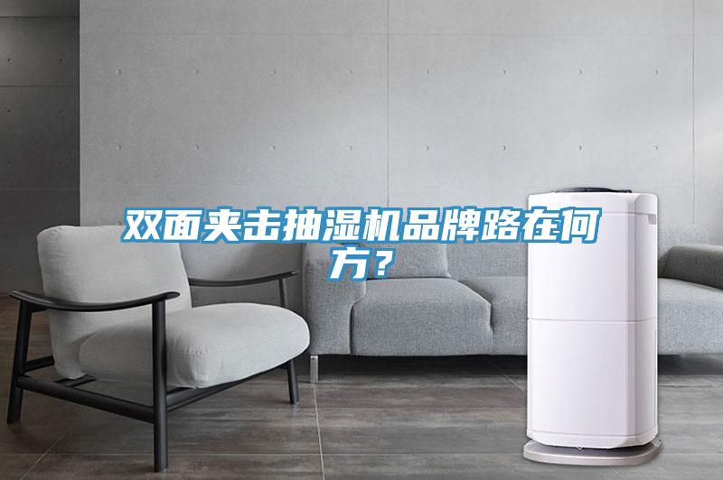 雙面夾擊抽濕機(jī)品牌路在何方？