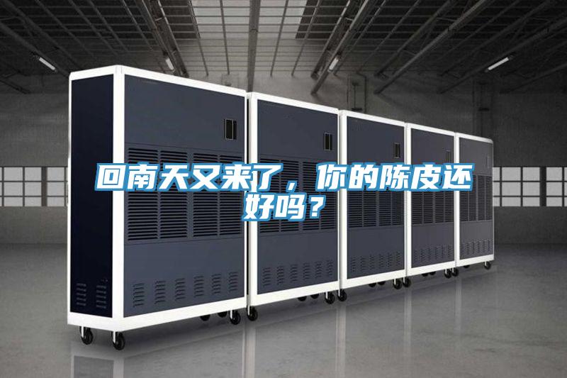 回南天又來了，你的陳皮還好嗎？