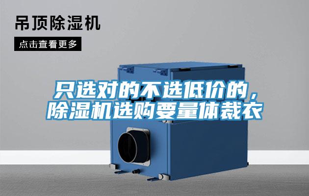 只選對(duì)的不選低價(jià)的，除濕機(jī)選購要量體裁衣
