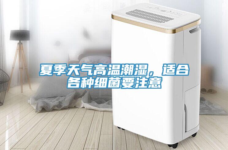 夏季天氣高溫潮濕，適合各種細菌要注意