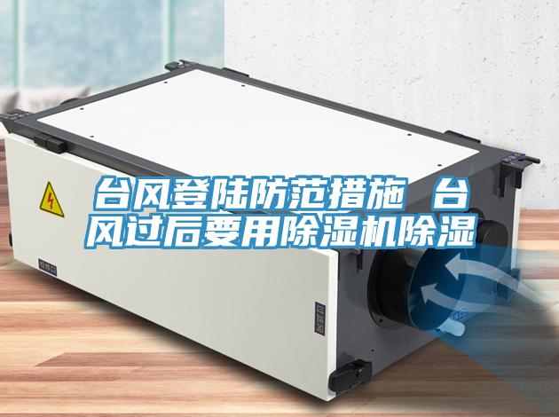 臺風(fēng)登陸防范措施 臺風(fēng)過后要用除濕機(jī)除濕