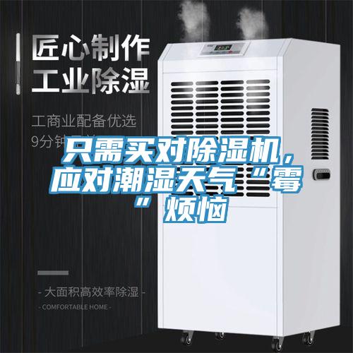 只需買對(duì)除濕機(jī)，應(yīng)對(duì)潮濕天氣“霉”煩惱