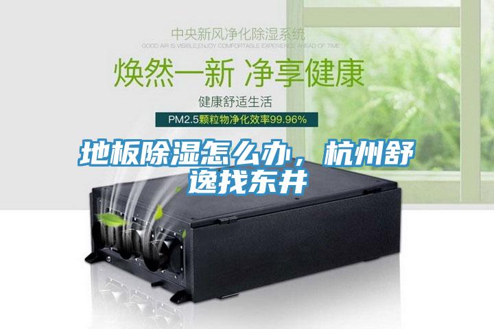 地板除濕怎么辦，杭州舒逸找東井