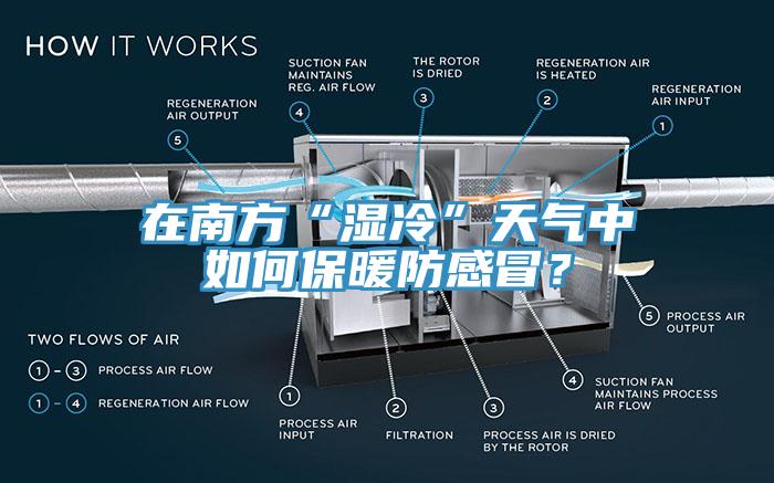 在南方“濕冷”天氣中如何保暖防感冒？