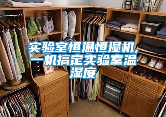 實驗室恒溫恒濕機(jī),一機(jī)搞定實驗室溫濕度