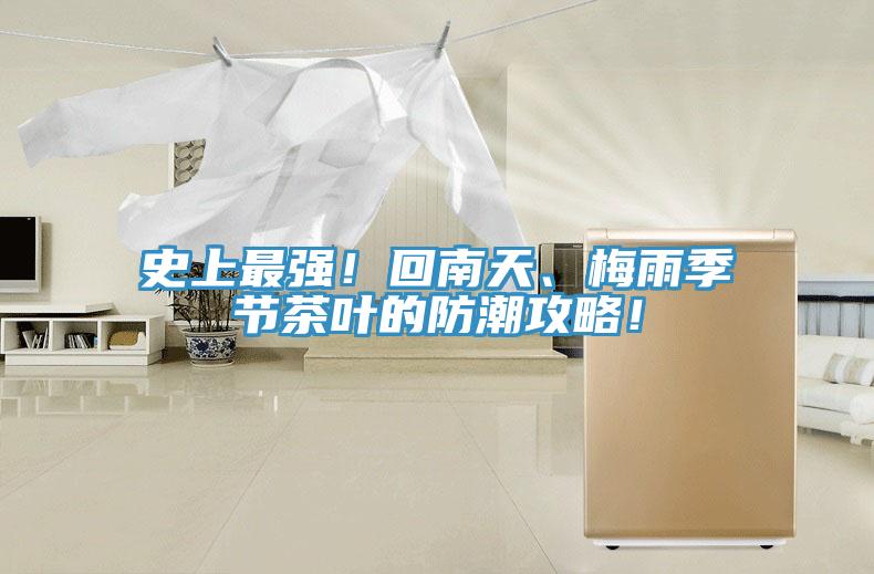 史上最強！回南天、梅雨季節(jié)茶葉的防潮攻略！