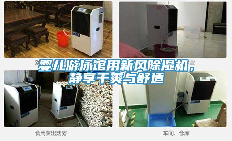 嬰兒游泳館用新風(fēng)除濕機(jī)，靜享干爽與舒適