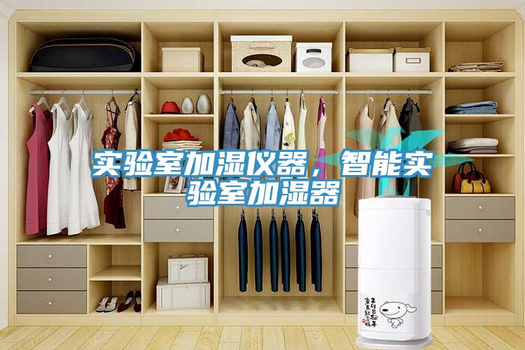 實驗室加濕儀器，智能實驗室加濕器
