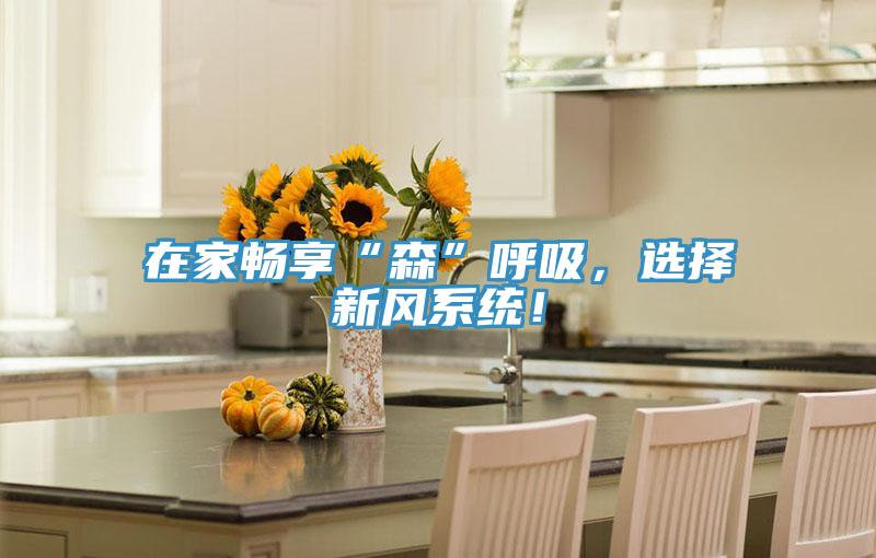 在家暢享“森”呼吸，選擇新風(fēng)系統(tǒng)！