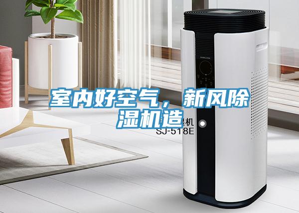 室內(nèi)好空氣，新風(fēng)除濕機(jī)造
