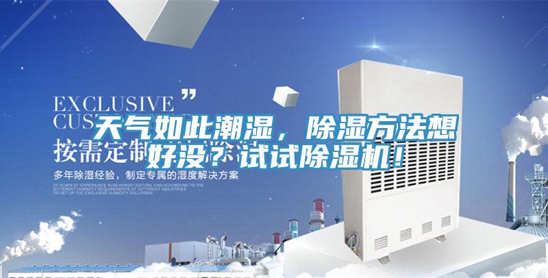 天氣如此潮濕，除濕方法想好沒？試試除濕機！