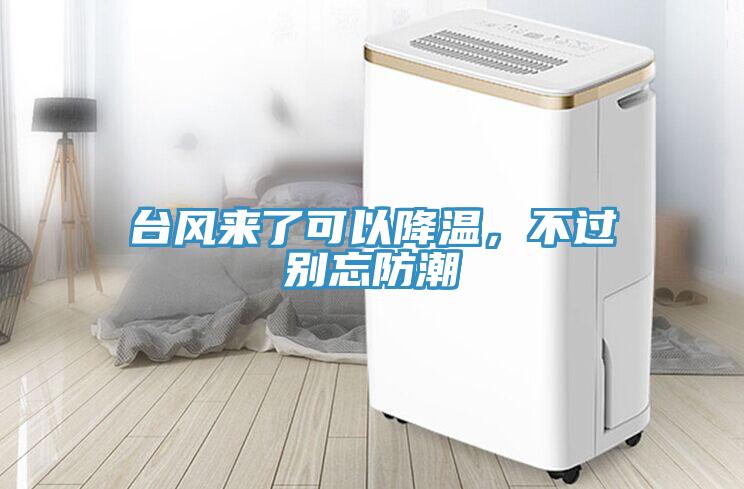 臺風(fēng)來了可以降溫，不過別忘防潮