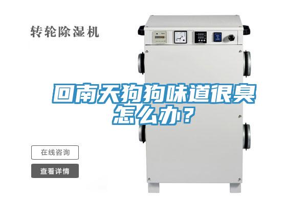 回南天狗狗味道很臭怎么辦？