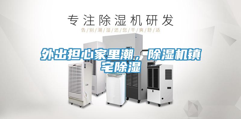 外出擔心家里潮，除濕機鎮(zhèn)宅除濕