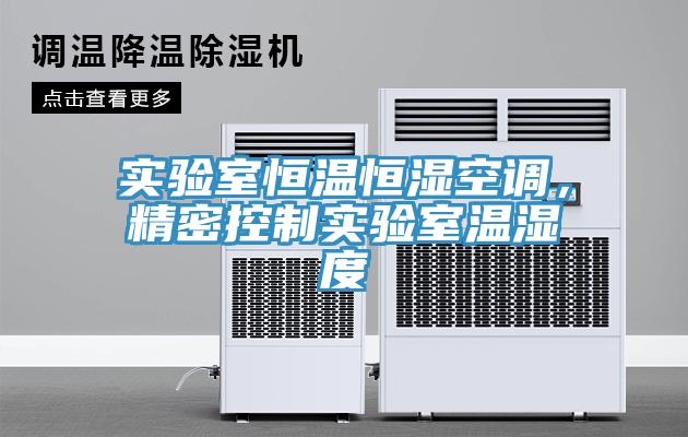 實(shí)驗(yàn)室恒溫恒濕空調(diào)，精密控制實(shí)驗(yàn)室溫濕度