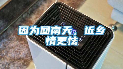 因為回南天，近鄉(xiāng)情更怯