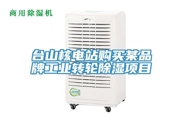 臺(tái)山核電站購買某品牌工業(yè)轉(zhuǎn)輪除濕項(xiàng)目