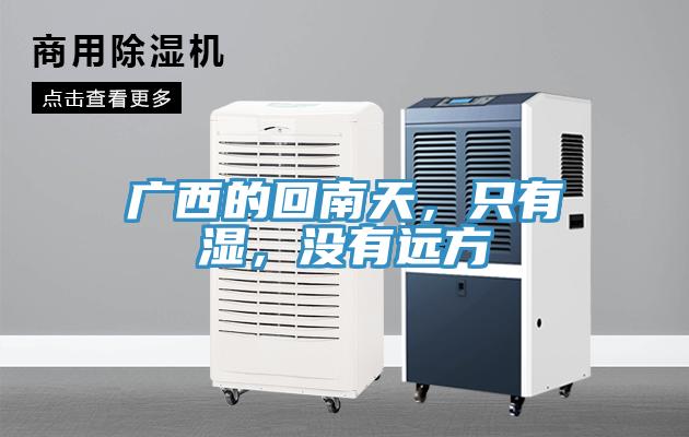 廣西的回南天，只有濕，沒有遠方