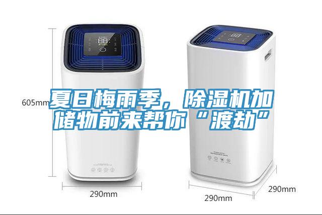 夏日梅雨季，除濕機加儲物前來幫你“渡劫”