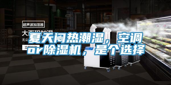 夏天悶熱潮濕，空調(diào)or除濕機，是個選擇