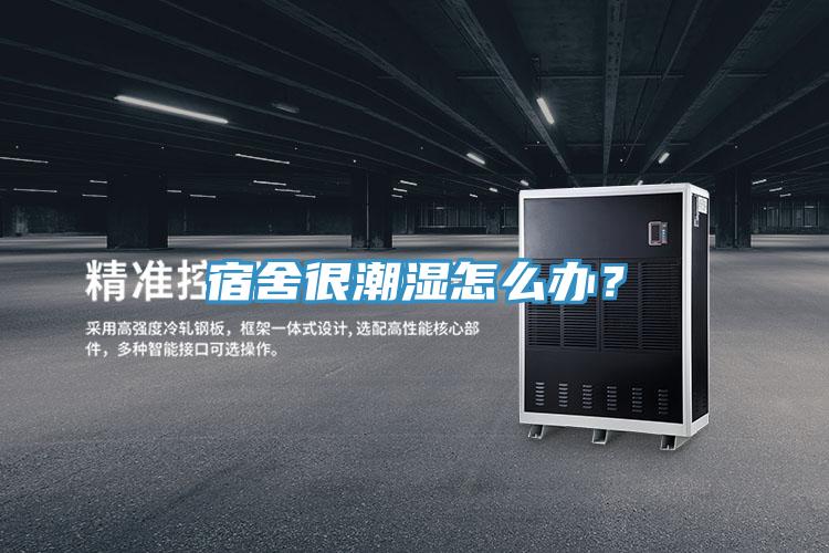 宿舍很潮濕怎么辦？