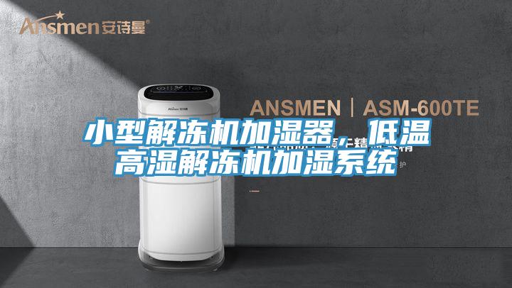 小型解凍機加濕器，低溫高濕解凍機加濕系統(tǒng)