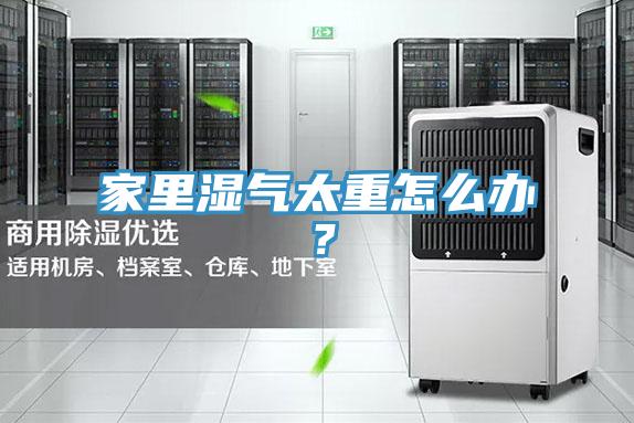 家里濕氣太重怎么辦？