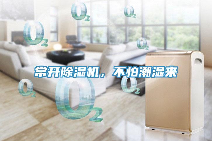 常開除濕機，不怕潮濕來