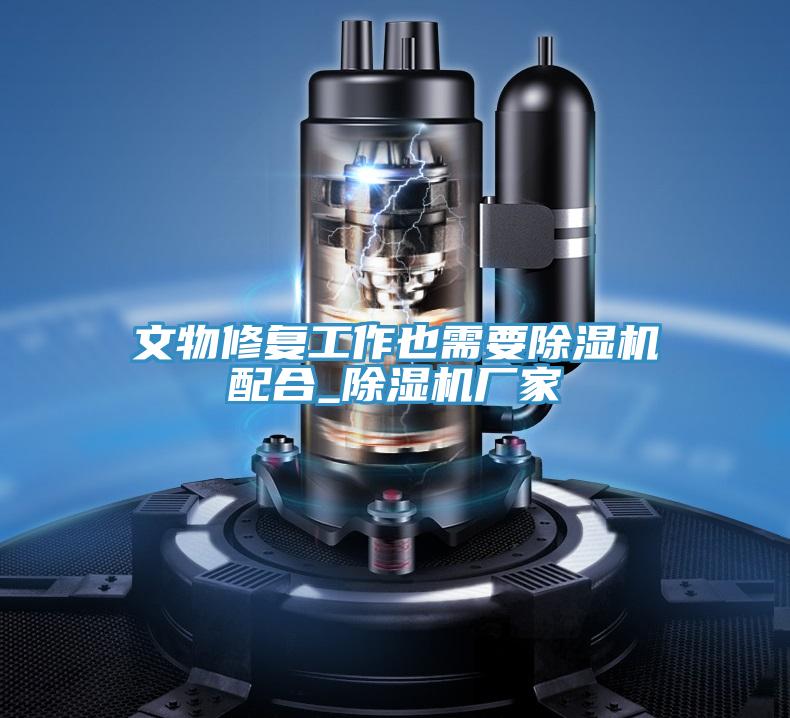 文物修復工作也需要除濕機配合_除濕機廠家