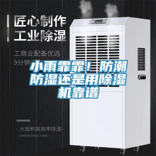 小雨霏霏！防潮防濕還是用除濕機(jī)靠譜