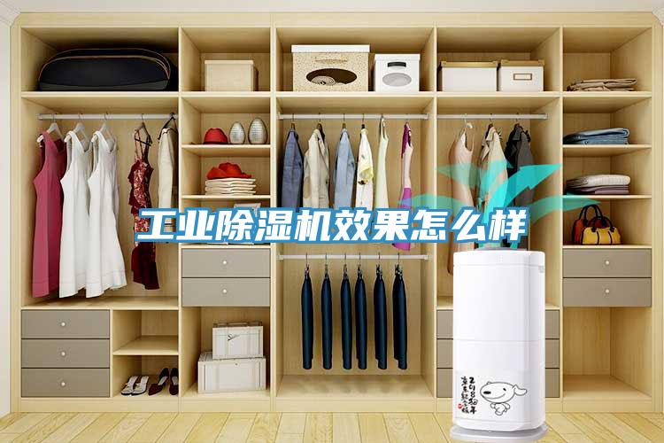 工業(yè)除濕機(jī)效果怎么樣