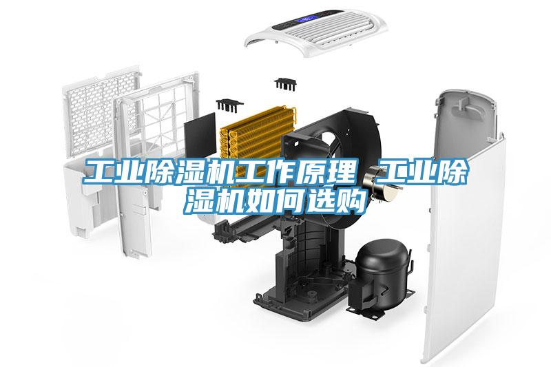 工業(yè)除濕機(jī)工作原理 工業(yè)除濕機(jī)如何選購