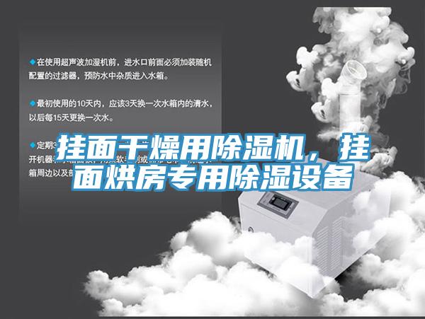 掛面干燥用除濕機，掛面烘房專用除濕設備