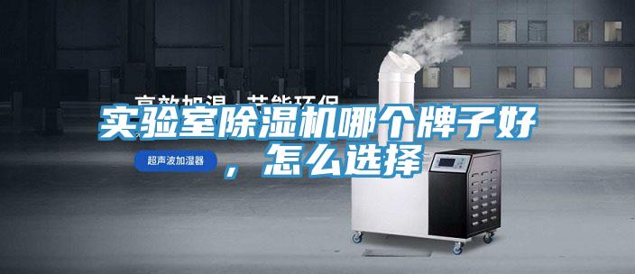 實(shí)驗(yàn)室除濕機(jī)哪個(gè)牌子好，怎么選擇