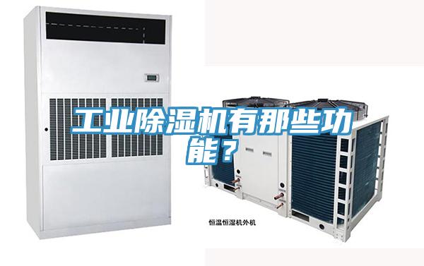 工業(yè)除濕機(jī)有那些功能？