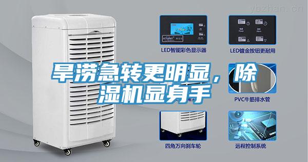 旱澇急轉(zhuǎn)更明顯，除濕機顯身手