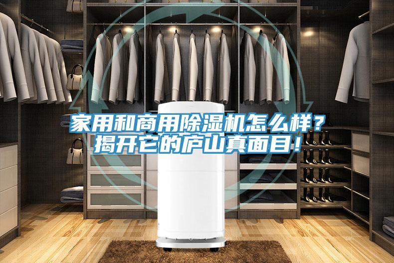 家用和商用除濕機(jī)怎么樣？揭開(kāi)它的廬山真面目！