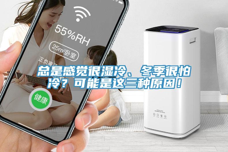 總是感覺很濕冷、冬季很怕冷？可能是這三種原因！