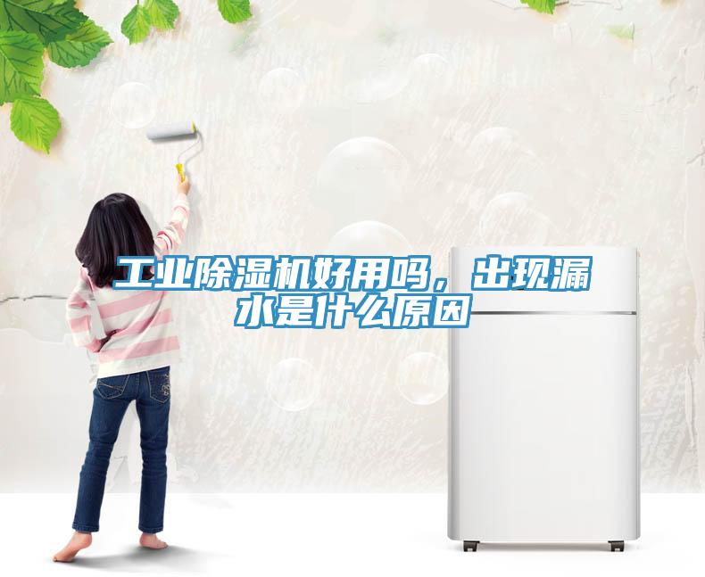 工業(yè)除濕機好用嗎，出現(xiàn)漏水是什么原因