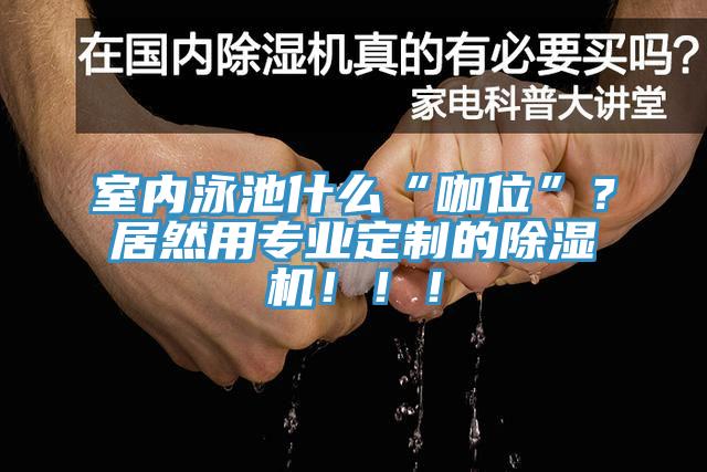 室內(nèi)泳池什么“咖位”？居然用專業(yè)定制的除濕機(jī)！??！