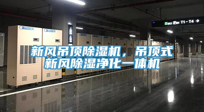 新風吊頂除濕機，吊頂式新風除濕凈化一體機