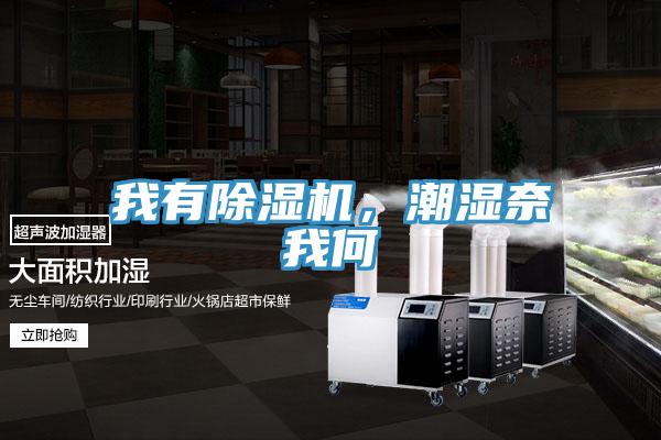 我有除濕機(jī)，潮濕奈我何