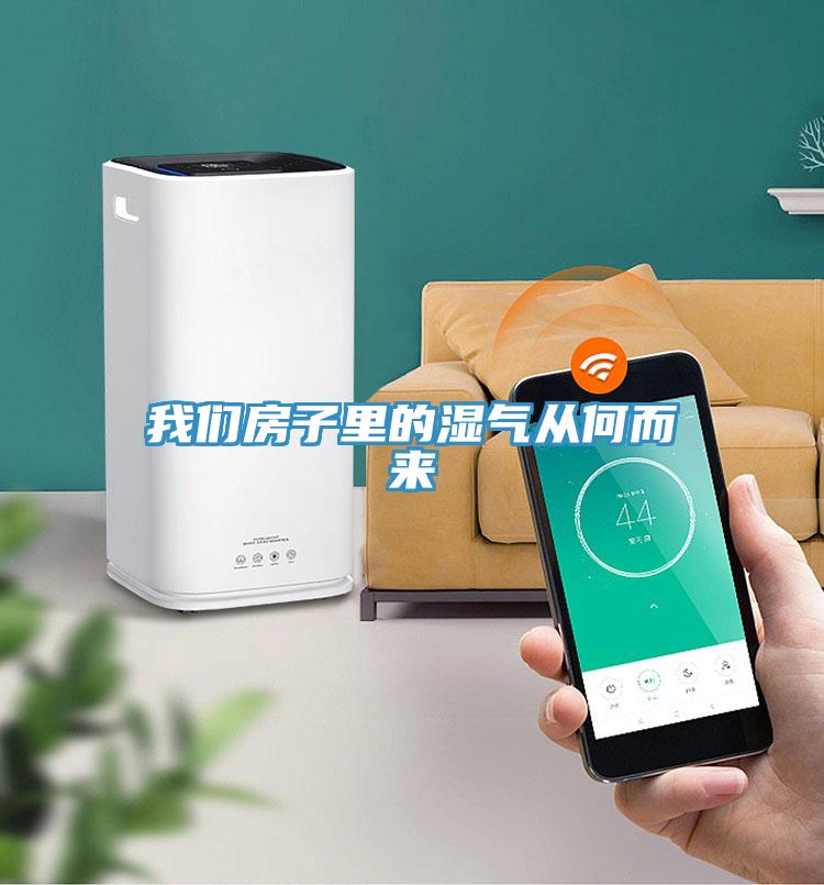 我們房子里的濕氣從何而來(lái)