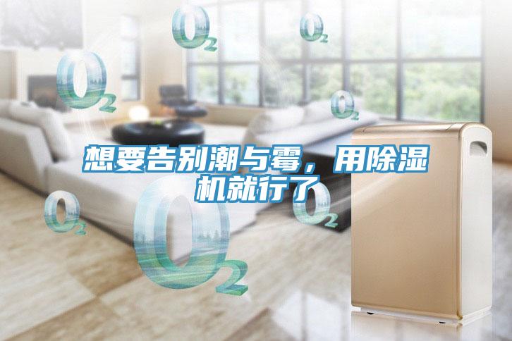 想要告別潮與霉，用除濕機就行了