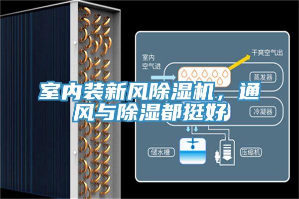 室內(nèi)裝新風除濕機，通風與除濕都挺好